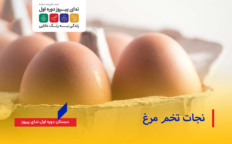 نجات تخم‌مرغ